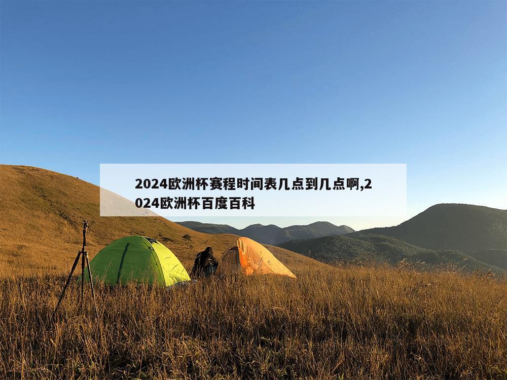 2024欧洲杯赛程时间表几点到几点啊,2024欧洲杯百度百科