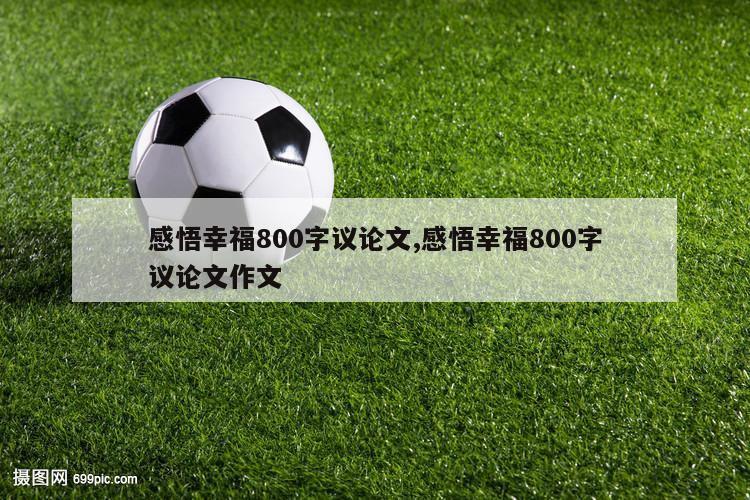 感悟幸福800字议论文,感悟幸福800字议论文作文