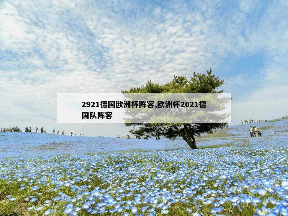 2921德国欧洲杯阵容,欧洲杯2021德国队阵容