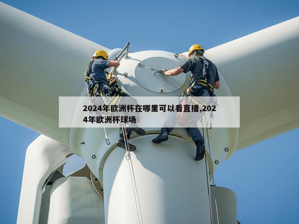 2024年欧洲杯在哪里可以看直播,2024年欧洲杯球场