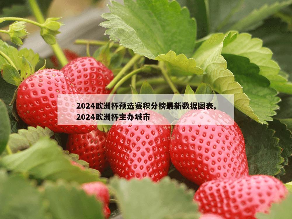 2024欧洲杯预选赛积分榜最新数据图表,2024欧洲杯主办城市