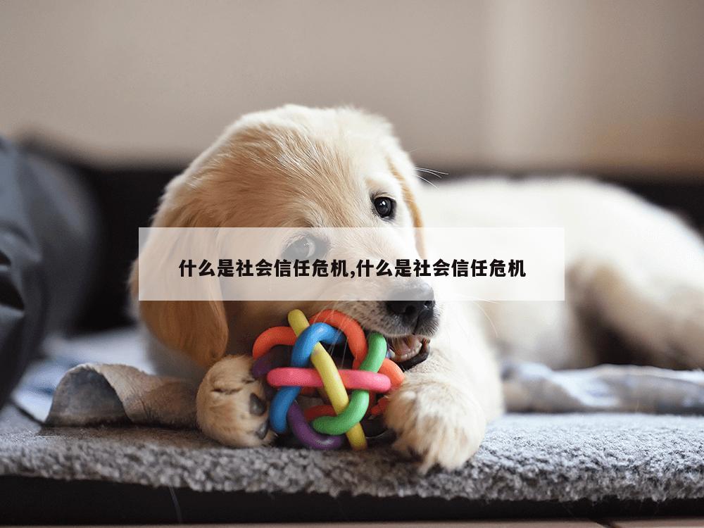 什么是社会信任危机,什么是社会信任危机