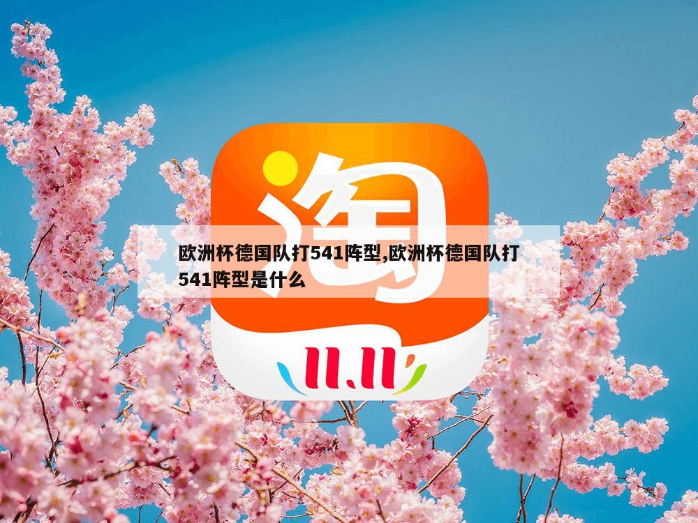 欧洲杯德国队打541阵型,欧洲杯德国队打541阵型是什么