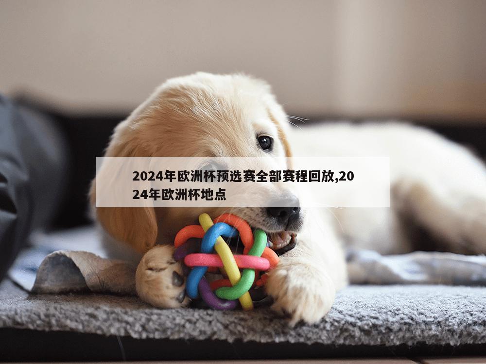 2024年欧洲杯预选赛全部赛程回放,2024年欧洲杯地点