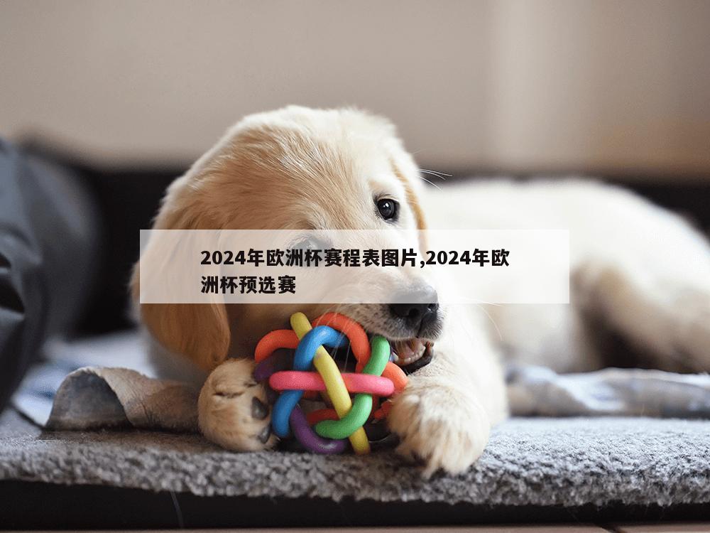 2024年欧洲杯赛程表图片,2024年欧洲杯预选赛