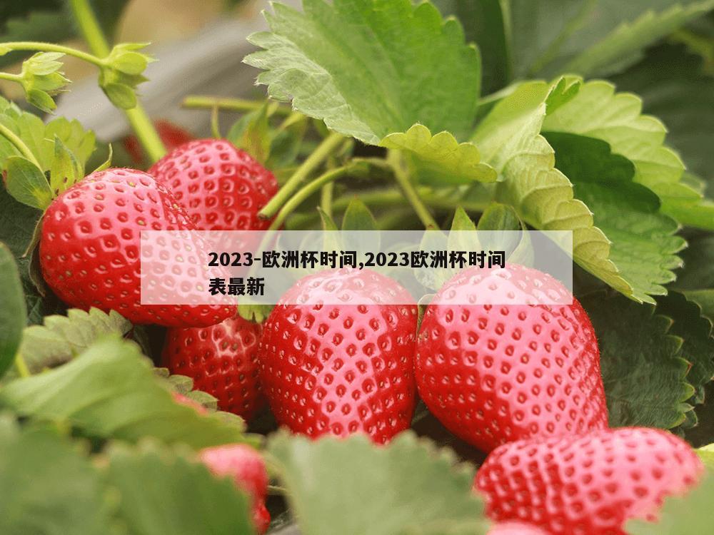 2023-欧洲杯时间,2023欧洲杯时间表最新