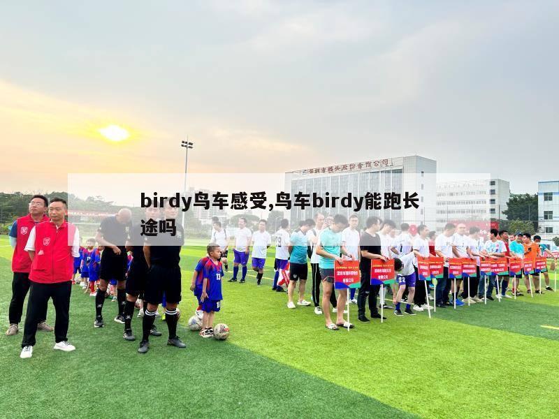 birdy鸟车感受,鸟车birdy能跑长途吗