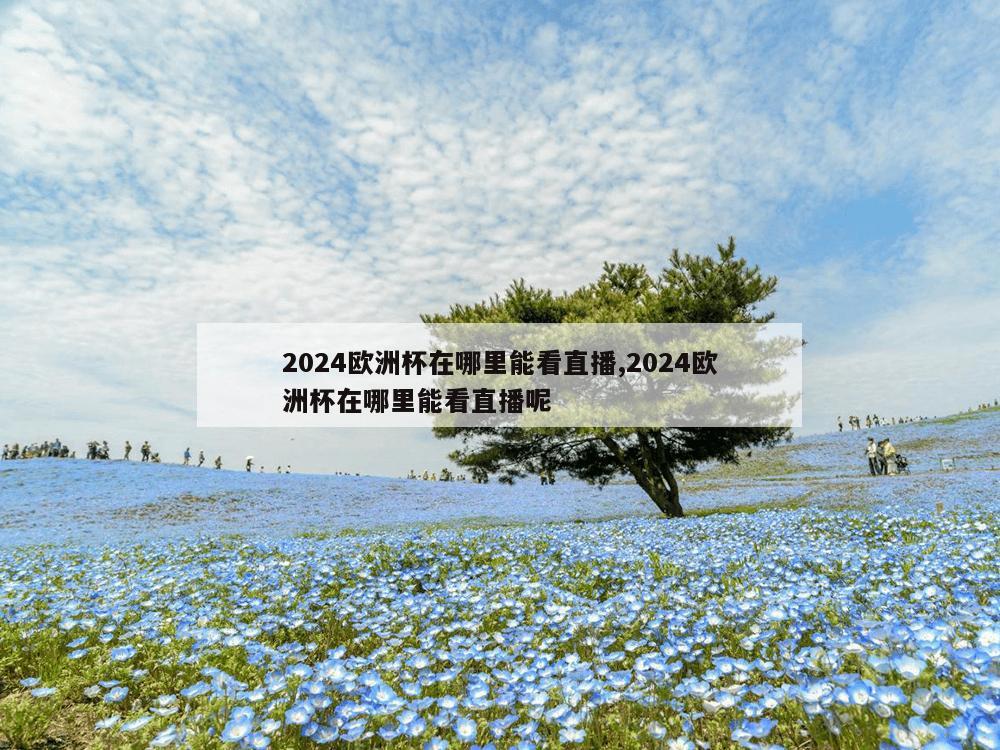 2024欧洲杯在哪里能看直播,2024欧洲杯在哪里能看直播呢